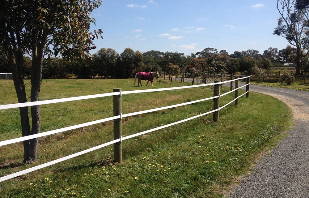 Think-Fencing-Equi-rail-2