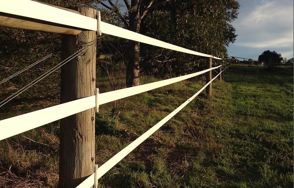 Think Fencing Equirail-White-1