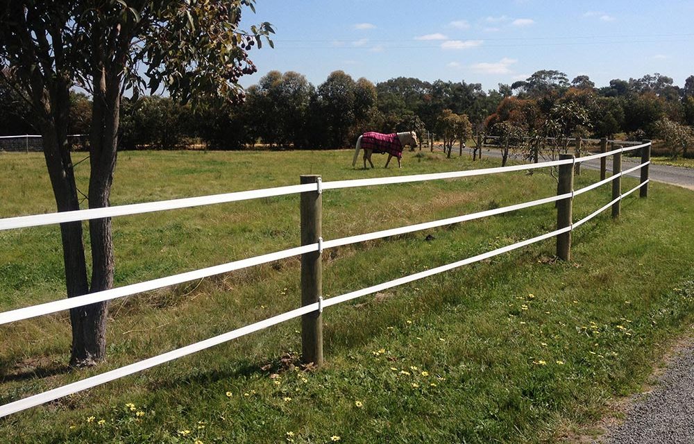 Think Fencing Equirail-White-2