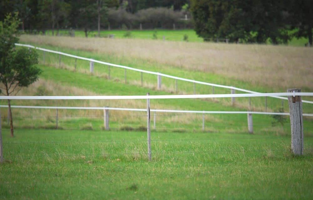 Think Fencing Equirail-White-3