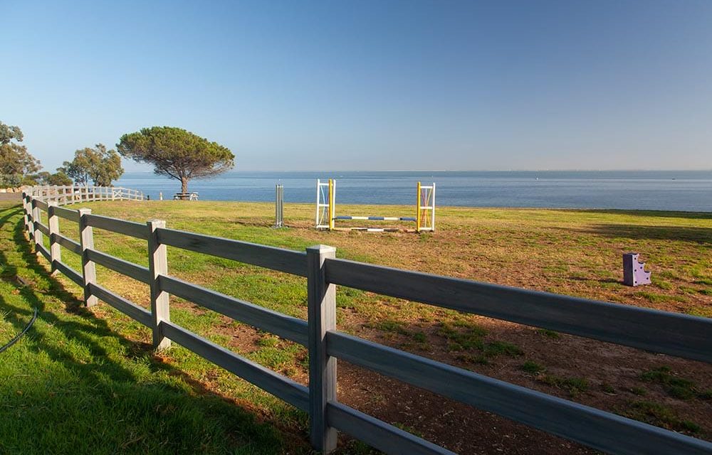 Think-Fencing-Post-and-Rail-Fence-x-3-Woodgrain-Pine-12