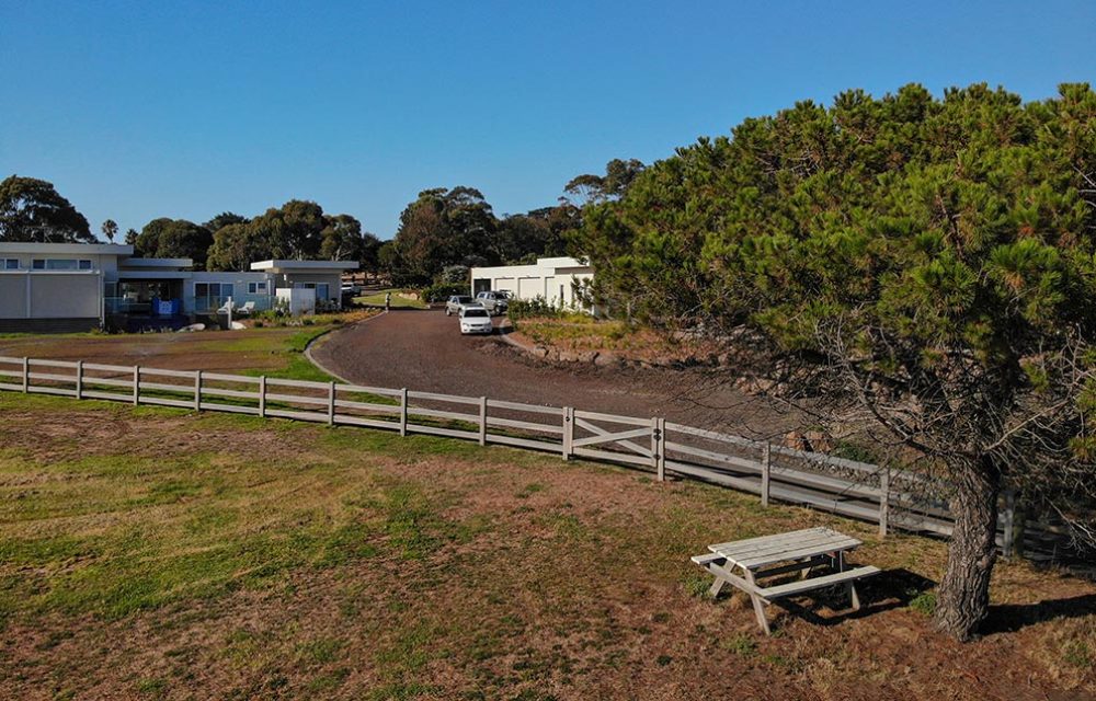 Think-Fencing-Post-and-Rail-Fence-x-3-Woodgrain-Pine-aerial