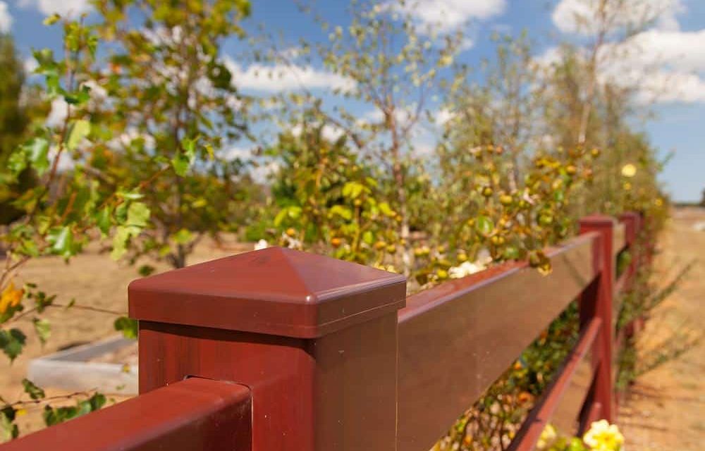 Think-Fencing-Post-and-Rail-Fence-x-4-Red-Gum-4