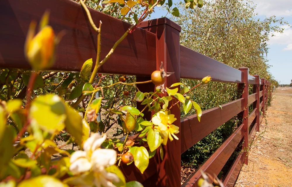 Think-Fencing-Post-and-Rail-Fence-x-4-Red-Gum-9