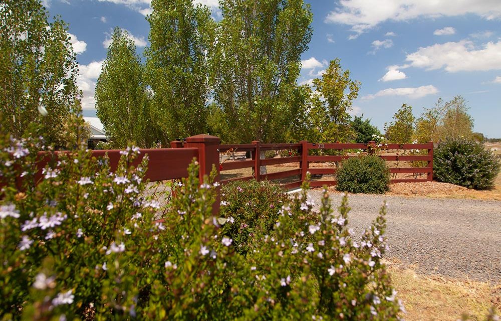 Think-Fencing-Post-and-Rail-Fence-x-4-Red-Gum-Gate-4