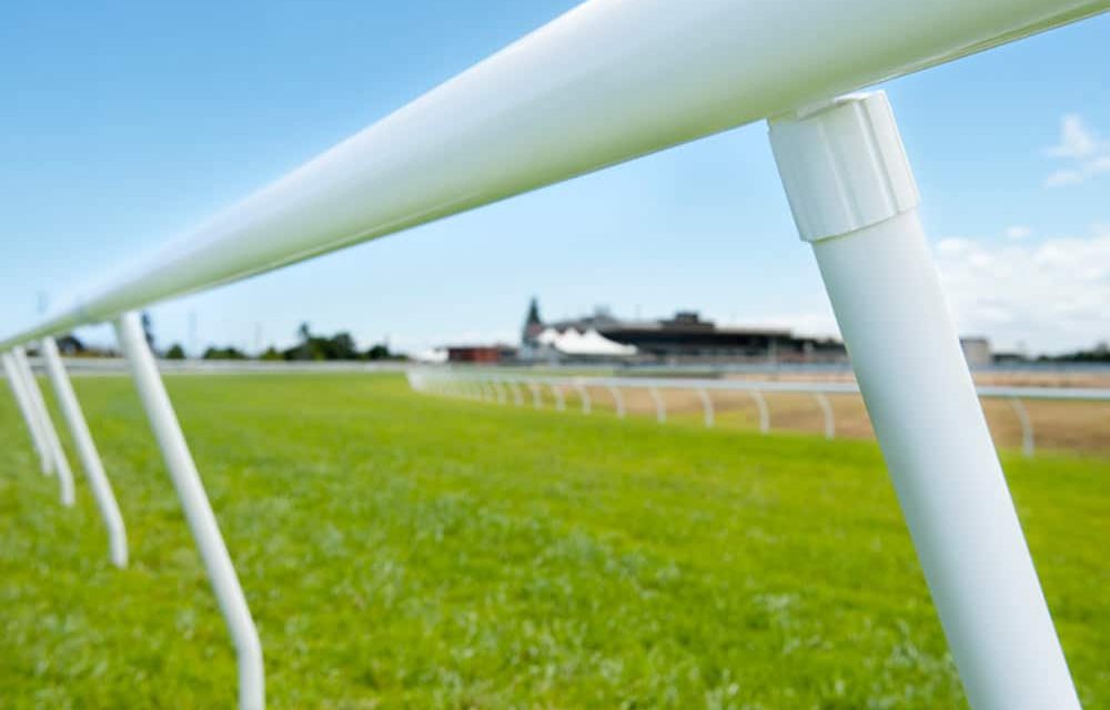 Think-Fencing-Simtrack-4