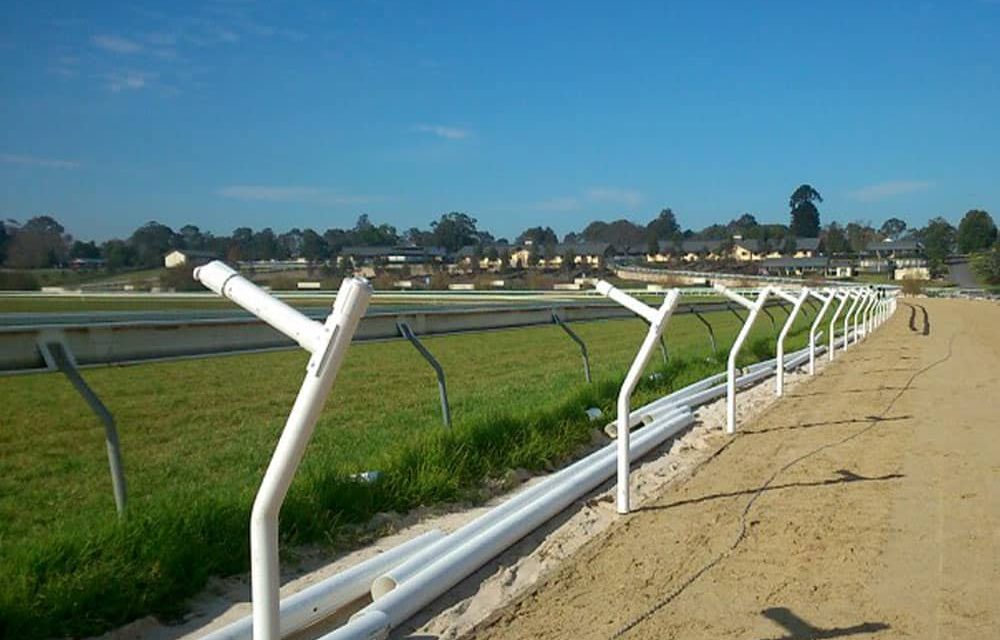 Think-Fencing-Simtrack-6