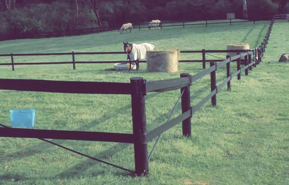 Think-Fencing-Zappa-Rail-x2-black