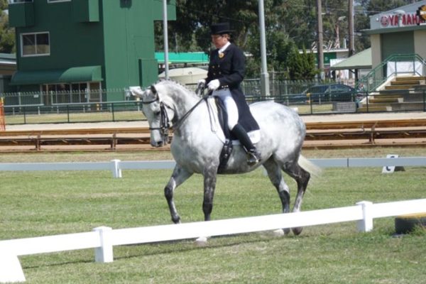 Think-Fencing-custom-PVC-Equestrian-low-fence