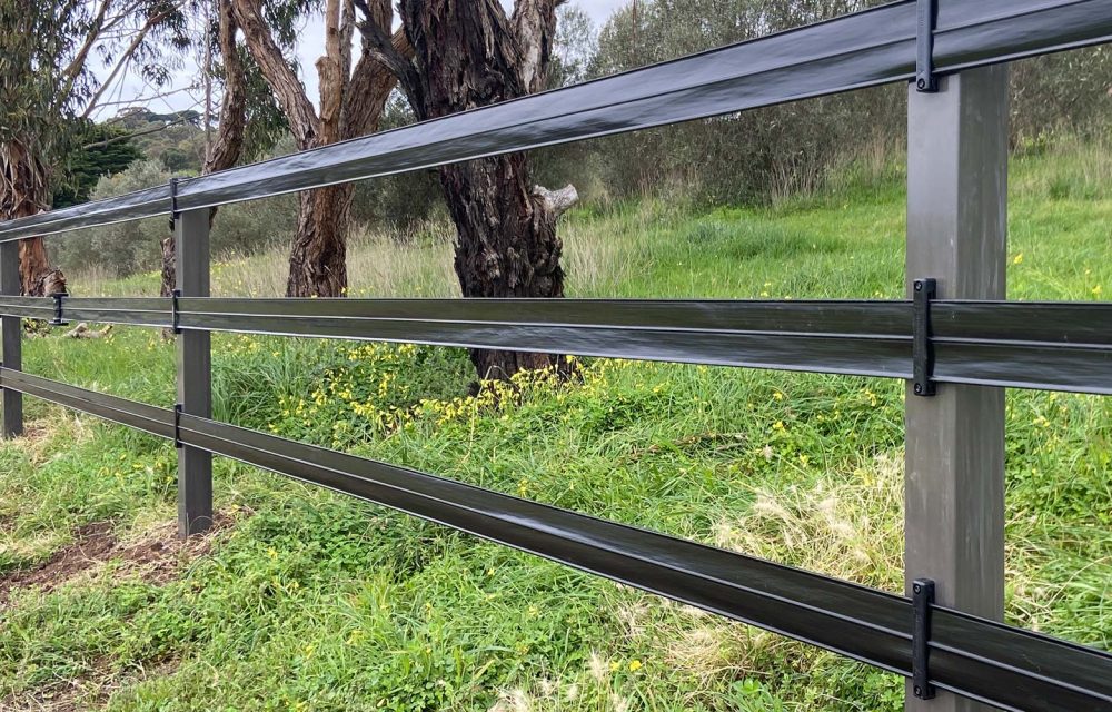 Zappa-Rail-Background