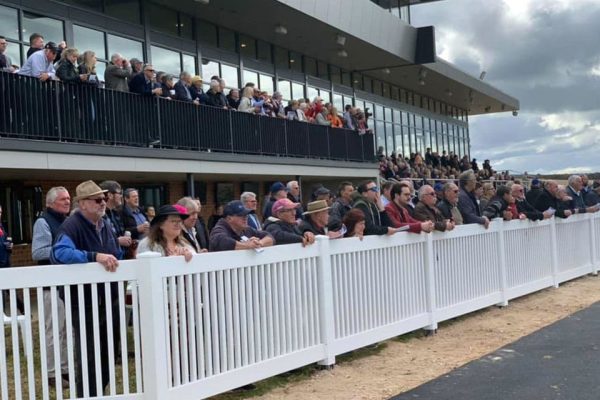 racecourse-fencing-caviar-3